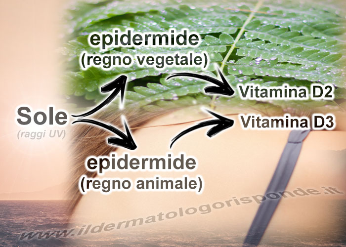 vitamina d pelle secca